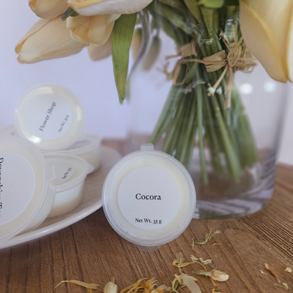 Cocora - The Memory Garden Pot